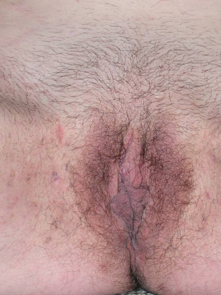Photo de Petunia